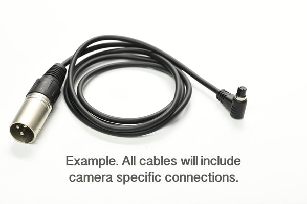 Panasonic And Leica Adapter For Turntable 360° - Accessories - Hensel USA