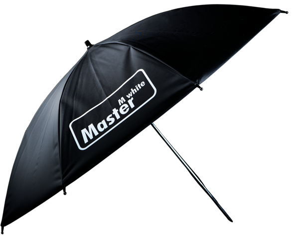Hensel Certo 200 Basic Kit 110V - Monolights - Hensel USA