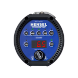 Expert D 500 - Monolights - Hensel USA