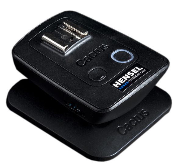 Hensel Certo 200 Basic Kit 110V - Monolights - Hensel USA